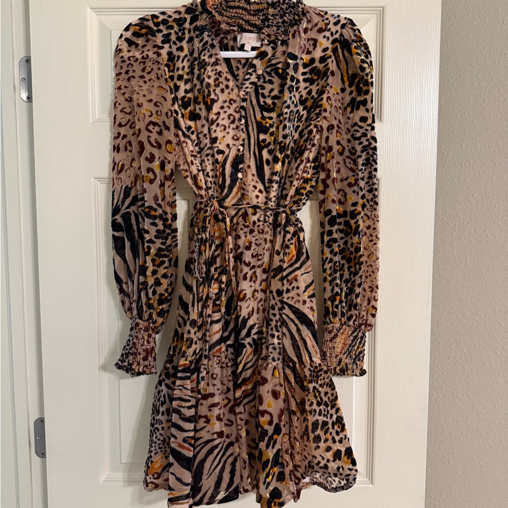 Velvet Leopard Print Long Sleeve Dress